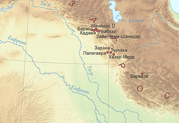 Зарзийская культура